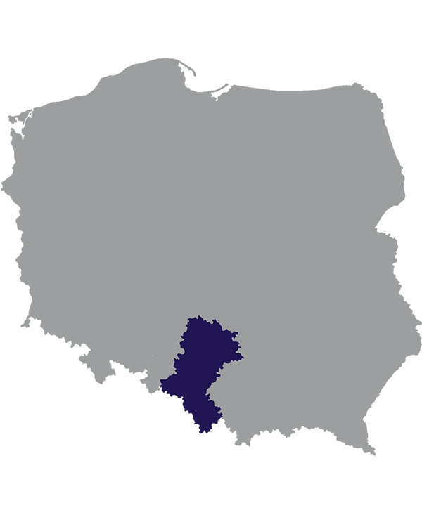 Landkaart Polen grijs met Woiwodschap Silezië donkerblauw op transparante achtergrond - 600 * 733 pixels